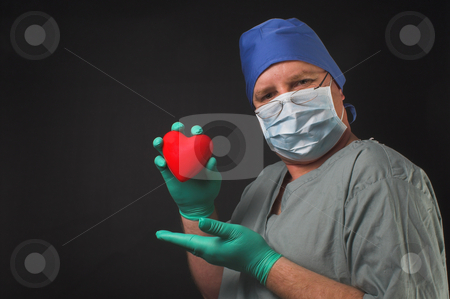To use this stock image in your creative project, please select the size you need over to the right and click the "Add to Cart" button.
Your downloaded image will come with the Cutcaster watermark removed so don’t worry about the watermark you see on this page. Cardiologist stock photo, A cardiologist holding a patients heart in his hand. by Robert Byron