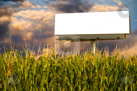 Clear Billboard sign Clear Billboard sign stock photo, Field of Corn and a billboard in the early evening sun - the golden hour. by Mitch Aunger