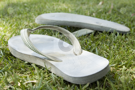 Summer Days Summer Days stock photo, Thongs or flip flops on grass on a summer day in Australia. Color photo landscape, daylight, daytime. by Irene Scales