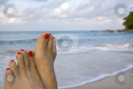 Woman's feet on a beach Woman's feet on a beach stock photo, Woman's feet with red nail polish on a beach by Magdalena Ascough