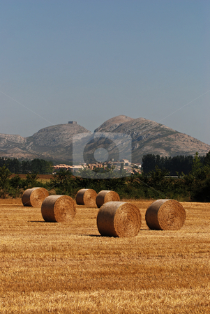 To use this stock image in your creative project, please select the size you need over to the right and click the "Add to Cart" button.
Your downloaded image will come with the Cutcaster watermark removed so don’t worry about the watermark you see on this page. Rural landscape in Catalonia stock photo, by Gady Cojocaru