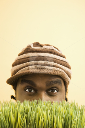 To use this stock image in your creative project, please select the size you need over to the right and click the "Add to Cart" button.
Your downloaded image will come with the Cutcaster watermark removed so don’t worry about the watermark you see on this page. Man hiding in grass. stock photo, African-American mid-adult man wearing knit hat with brim peeking at viewer from behind grass. by Iofoto Images