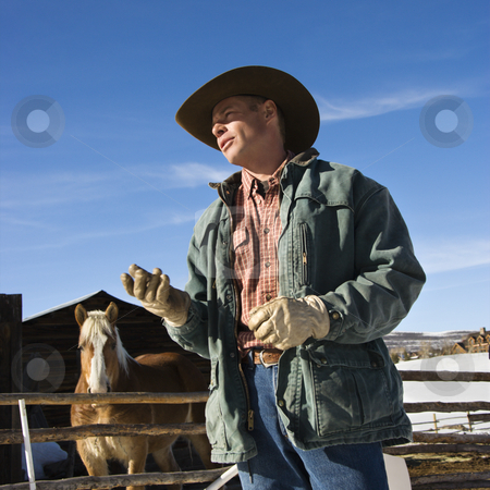 To use this stock image in your creative project, please select the size you need over to the right and click the "Add to Cart" button.
Your downloaded image will come with the Cutcaster watermark removed so don’t worry about the watermark you see on this page. Wrangler talking. stock photo, Middle-aged Caucasian male wrangler with horse in background. by Iofoto Images