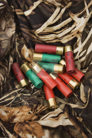 To use this stock image in your creative project, please select the size you need over to the right and click the "Add to Cart" button.
Your downloaded image will come with the Cutcaster watermark removed so don’t worry about the watermark you see on this page. Shotgun shells. stock photo, Still life shot of shotgun shells against camouflage clothing. by Iofoto Images