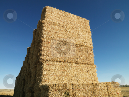 Bales of hay. Bales of hay. stock photo, Tall stack of bales of hay in rural setting. by Iofoto Images