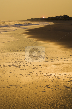 Golden beach at sunset. Golden beach at sunset. stock photo, Golden beach at sunset. by Iofoto Images