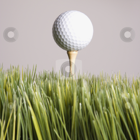 To use this stock image in your creative project, please select the size you need over to the right and click the "Add to Cart" button.
Your downloaded image will come with the Cutcaster watermark removed so don’t worry about the watermark you see on this page. Teed up golf ball. stock photo, Studio shot of golf ball resting on tee in grass. by Iofoto Images
