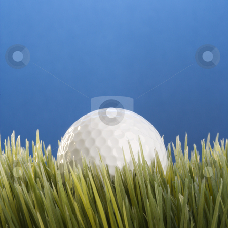 To use this stock image in your creative project, please select the size you need over to the right and click the "Add to Cart" button.
Your downloaded image will come with the Cutcaster watermark removed so don’t worry about the watermark you see on this page. Baseball resting in grass. stock photo, Studio shot of a baseball resting in grass. by Iofoto Images