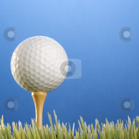 Golfball on tee in grass. Golfball on tee in grass. stock photo, Studio shot of a golfball on a tee in grass. by Iofoto Images
