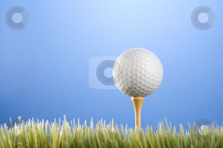 To use this stock image in your creative project, please select the size you need over to the right and click the "Add to Cart" button.
Your downloaded image will come with the Cutcaster watermark removed so don’t worry about the watermark you see on this page. Golfball on tee in grass. stock photo, Studio shot of a golfball on a tee in grass. by Iofoto Images