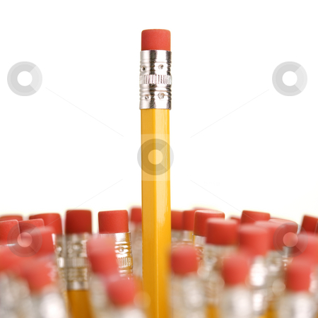 Erasers on pencils. Erasers on pencils. stock photo, Group of eraser ends of pencils with one standing out higher than the rest. by Iofoto Images