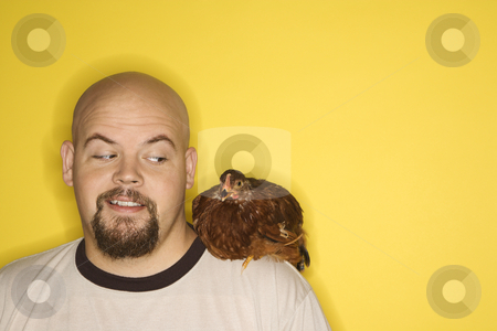 To use this stock image in your creative project, please select the size you need over to the right and click the "Add to Cart" button.
Your downloaded image will come with the Cutcaster watermark removed so don’t worry about the watermark you see on this page. Man looking at chicken on shoulder. stock photo, Caucasian mid-adult man looking at Golden Laced Wyandotte chicken on his shoulder. by Iofoto Images