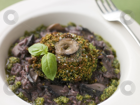 Herb Crusted Portabello Mushroom with Red Wine Risotto and Pesto Herb Crusted Portabello Mushroom with Red Wine Risotto and Pesto stock photo, by Monkey Business Images