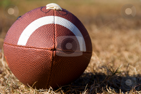 To use this stock image in your creative project, please select the size you need over to the right and click the "Add to Cart" button.
Your downloaded image will come with the Cutcaster watermark removed so don’t worry about the watermark you see on this page. Football stock photo, An American football ready for sports action. by Robert Byron