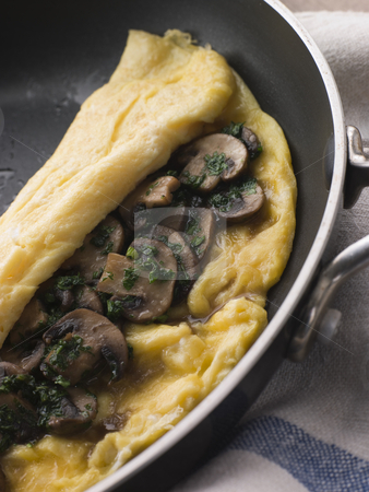 Mushroom Omelette folded in a Omelette Pan Mushroom Omelette folded in a Omelette Pan stock photo, by Monkey Business Images