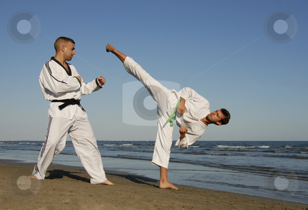 To use this stock image in your creative project, please select the size you need over to the right and click the "Add to Cart" button.
Your downloaded image will come with the Cutcaster watermark removed so don’t worry about the watermark you see on this page. Taekwondo stock photo, by Bonzami Emmanuelle