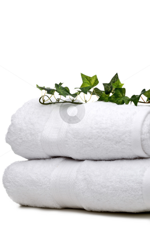 To use this stock image in your creative project, please select the size you need over to the right and click the "Add to Cart" button.
Your downloaded image will come with the Cutcaster watermark removed so don’t worry about the watermark you see on this page. Green vine on white towels stock photo, Green vine on white towels by Vince Clements