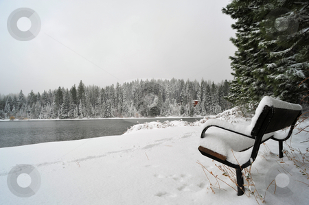 To use this stock image in your creative project, please select the size you need over to the right and click the "Add to Cart" button.
Your downloaded image will come with the Cutcaster watermark removed so don’t worry about the watermark you see on this page. Bench and Lake In Winter stock photo, A sitting bench covered with snow in early winter overlooking a lake. by Lynn Bendickson