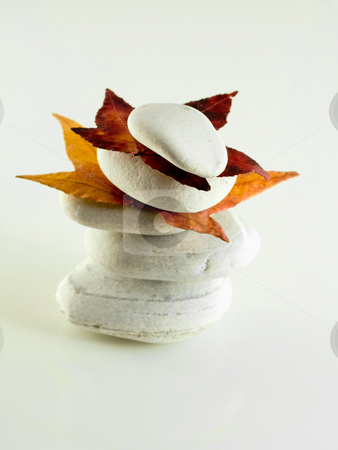 Beach stones with leaves Beach stones with leaves stock photo, White off beach stones with fall leaves on white by Laurent Dambies