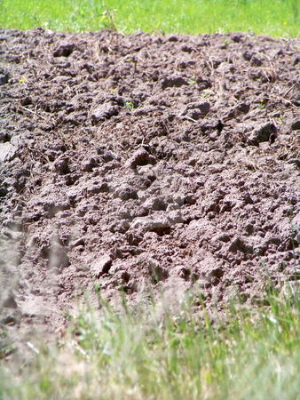 To use this stock image in your creative project, please select the size you need over to the right and click the "Add to Cart" button.
Your downloaded image will come with the Cutcaster watermark removed so don’t worry about the watermark you see on this page. Plowed rural land stock photo, by Natalia Gesto