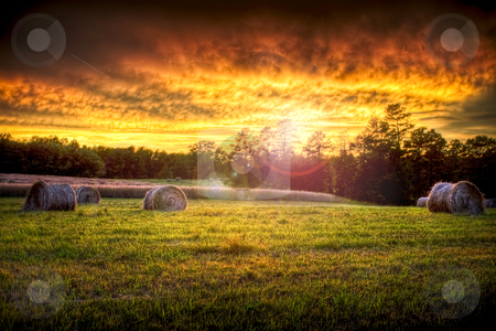 To use this stock image in your creative project, please select the size you need over to the right and click the "Add to Cart" button.
Your downloaded image will come with the Cutcaster watermark removed so don’t worry about the watermark you see on this page. Sunset field scenery with hay rounds stock photo, Beautiful sunset lighting a field with hay rounds producing brilliant and amazing colors. by Robert Ranson