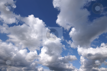 To use this stock image in your creative project, please select the size you need over to the right and click the "Add to Cart" button.
Your downloaded image will come with the Cutcaster watermark removed so don’t worry about the watermark you see on this page. Fluffy clouds stock photo, Nice white fluffy clouds with blue sky by Karin Claus