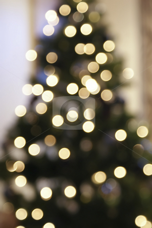 To use this stock image in your creative project, please select the size you need over to the right and click the "Add to Cart" button.
Your downloaded image will come with the Cutcaster watermark removed so don’t worry about the watermark you see on this page. Christmas Tree Bokeh stock photo, by Adrian Mace