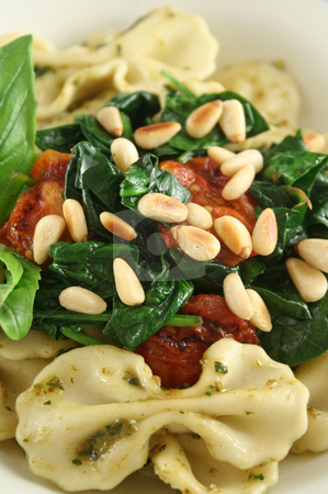 To use this stock image in your creative project, please select the size you need over to the right and click the "Add to Cart" button.
Your downloaded image will come with the Cutcaster watermark removed so don’t worry about the watermark you see on this page. Pasta With Pine Nuts 3 stock photo, Pasta with pesto and spinach, cherry tomatoes and pine nuts. by Brett Mulcahy
