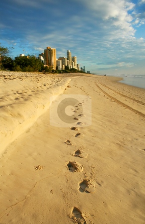 To use this stock image in your creative project, please select the size you need over to the right and click the "Add to Cart" button.
Your downloaded image will come with the Cutcaster watermark removed so don’t worry about the watermark you see on this page. The Way To Surfers Paradise stock photo, Footprints in the sand lead the way to Surfers Paradise Gold Coast Australia just after dawn. by Brett Mulcahy