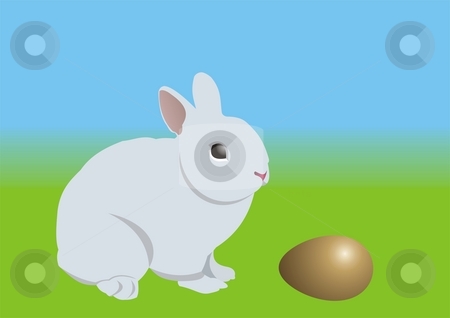 Easter bunny and golden egg Easter bunny and golden egg stock photo, An Easter bunny, looking at a golden egg. Can be used as an Easter card background. by Mihai Zaharia