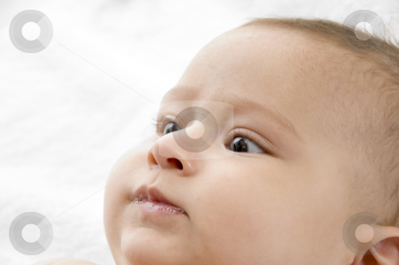 To use this stock image in your creative project, please select the size you need over to the right and click the "Add to Cart" button.
Your downloaded image will come with the Cutcaster watermark removed so don’t worry about the watermark you see on this page. Cute toddler posing stock photo, Cute toddler posing with white background by Imagery Majestic
