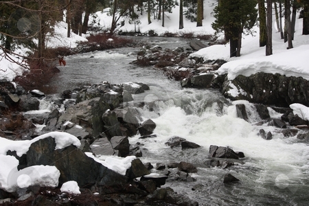 River running through the forest in the winter. River running through the forest in the winter. stock photo, River running in the winter by Gregory Dean