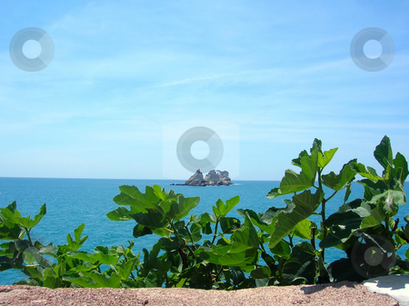 To use this stock image in your creative project, please select the size you need over to the right and click the "Add to Cart" button.
Your downloaded image will come with the Cutcaster watermark removed so don’t worry about the watermark you see on this page. Island in sea over green leaves stock photo, Scenic small island in Adriatic sea in Montenegro by Julija Sapic