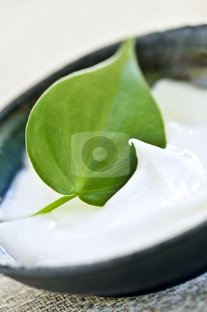 Lavender cream Lavender cream stock photo, Natural face cream or skincare with green leaf by Elena Elisseeva
