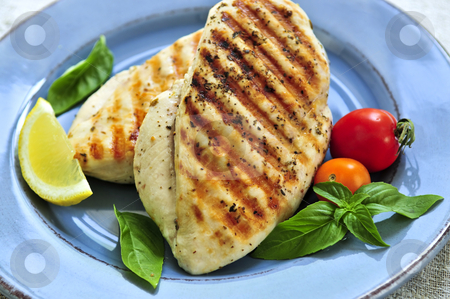 To use this stock image in your creative project, please select the size you need over to the right and click the "Add to Cart" button.
Your downloaded image will come with the Cutcaster watermark removed so don’t worry about the watermark you see on this page. Grilled chicken breasts stock photo, Grilled chicken breasts on a plate with fresh vegetables by Elena Elisseeva