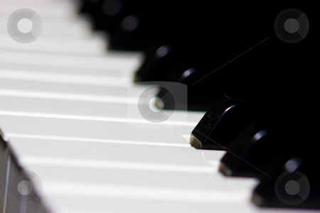 Piano keyboard Piano keyboard stock photo, Piano keyboard by Luca Bertolli