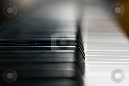 To use this stock image in your creative project, please select the size you need over to the right and click the "Add to Cart" button.
Your downloaded image will come with the Cutcaster watermark removed so don’t worry about the watermark you see on this page. Piano keyboard stock photo, Piano keyboard by Luca Bertolli