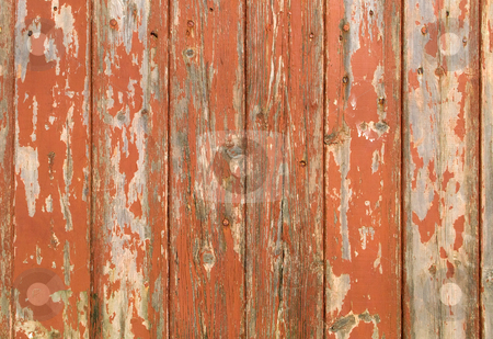 To use this stock image in your creative project, please select the size you need over to the right and click the "Add to Cart" button.
Your downloaded image will come with the Cutcaster watermark removed so don’t worry about the watermark you see on this page. Orange flaky paint on a wooden fence. stock photo, Orange flaky paint on a wooden fence. by Stephen Rees