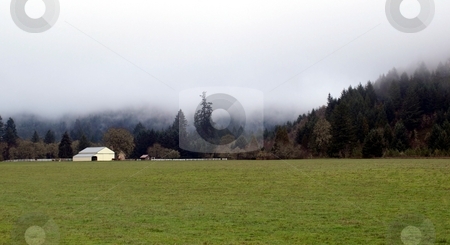 White barn and grassy field in rural misty countryside White barn and grassy field in rural misty countryside stock photo, Mist descends on a rural country setting by Jill Reid