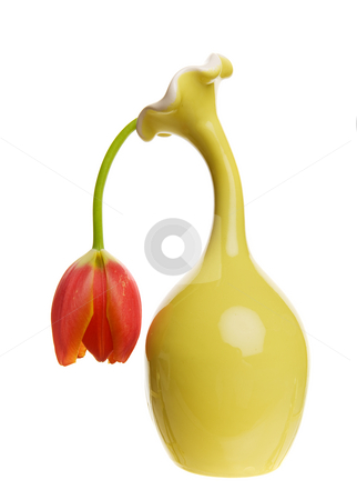 Limp tulip Limp tulip stock photo, A dying and depressed looking tulip in a yellow vase by Steve Mcsweeny