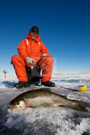 To use this stock image in your creative project, please select the size you need over to the right and click the "Add to Cart" button.
Your downloaded image will come with the Cutcaster watermark removed so don’t worry about the watermark you see on this page. Catch of the day stock photo, Ice fisherman with a large rainbow trout on the ice by Steve Mcsweeny