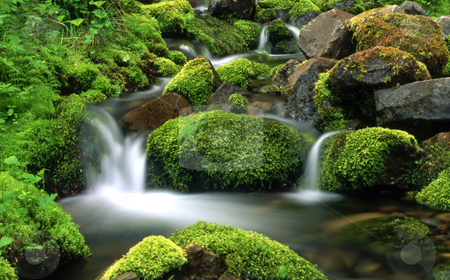 To use this stock image in your creative project, please select the size you need over to the right and click the "Add to Cart" button.
Your downloaded image will come with the Cutcaster watermark removed so don’t worry about the watermark you see on this page. Mountain stream stock photo, Mountain stream by Ingvar Bjork