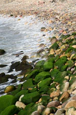 To use this stock image in your creative project, please select the size you need over to the right and click the "Add to Cart" button.
Your downloaded image will come with the Cutcaster watermark removed so don’t worry about the watermark you see on this page. Pacific Shoreline stock photo, Pacific Ocean shoreline studded with algae covered rocks. Puerto Vallarta, Mexico. by Brenda Carson