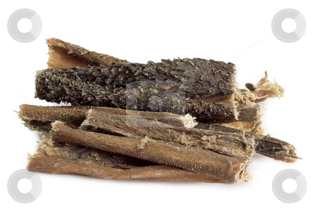 Dog food Dog food stock photo, Dog food on bright background by Birgit Reitz-Hofmann