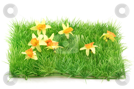 To use this stock image in your creative project, please select the size you need over to the right and click the "Add to Cart" button.
Your downloaded image will come with the Cutcaster watermark removed so don’t worry about the watermark you see on this page. Grass meadow_2 stock photo, Decorative grass meadow on bright background by Birgit Reitz-Hofmann