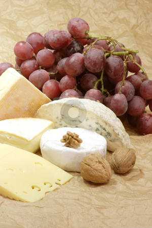 To use this stock image in your creative project, please select the size you need over to the right and click the "Add to Cart" button.
Your downloaded image will come with the Cutcaster watermark removed so don’t worry about the watermark you see on this page. Cheese_2 stock photo, Stillife with cheese on brown background by Birgit Reitz-Hofmann