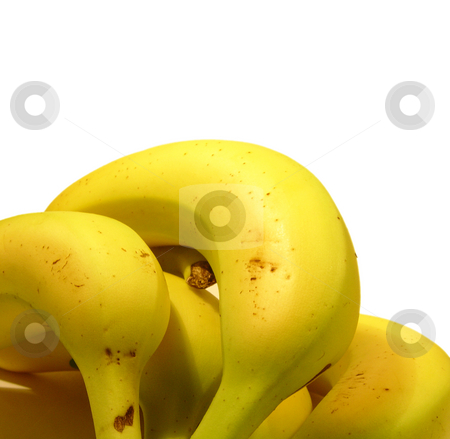 To use this stock image in your creative project, please select the size you need over to the right and click the "Add to Cart" button.
Your downloaded image will come with the Cutcaster watermark removed so don’t worry about the watermark you see on this page. Bananas on white stock photo, by Kirsty Pargeter