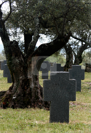 To use this stock image in your creative project, please select the size you need over to the right and click the "Add to Cart" button.
Your downloaded image will come with the Cutcaster watermark removed so don’t worry about the watermark you see on this page. Grave stock photo, Graves of the second world war german soldiers on spain by Marc Torrell