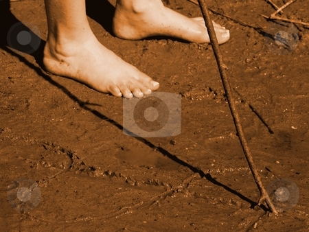 To use this stock image in your creative project, please select the size you need over to the right and click the "Add to Cart" button.
Your downloaded image will come with the Cutcaster watermark removed so don’t worry about the watermark you see on this page. Drawing in the sand stock photo, A person is drawing in the wet sand with a wooden stick or branch by Arve Bettum