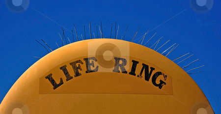 To use this stock image in your creative project, please select the size you need over to the right and click the "Add to Cart" button.
Your downloaded image will come with the Cutcaster watermark removed so don’t worry about the watermark you see on this page. Humorous Life Ring Object stock photo, This life ring object has a humorous twist by its sharp pointer spikes sticking out of the top. by Valerie Garner
